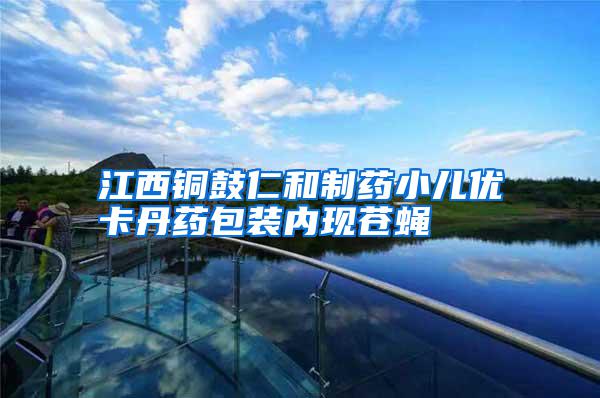 江西銅鼓仁和制藥小兒優卡丹藥包裝內現蒼蠅