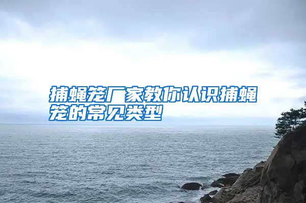 捕蠅籠廠家教你認(rèn)識(shí)捕蠅籠的常見類型
