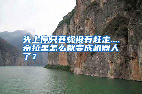 頭上停只蒼蠅沒有趕走....希拉里怎么就變成機器人了？