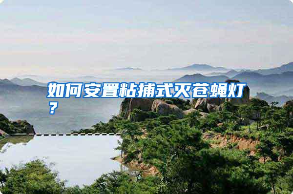 如何安置粘捕式滅蒼蠅燈？