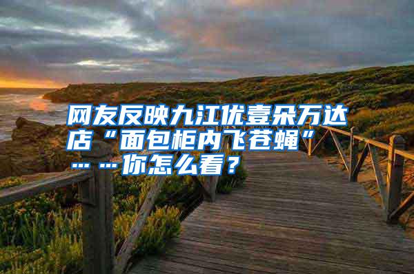 網友反映九江優壹朵萬達店“面包柜內飛蒼蠅” ……你怎么看？