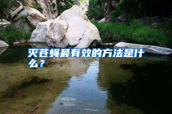 滅蒼蠅最有效的方法是什么？