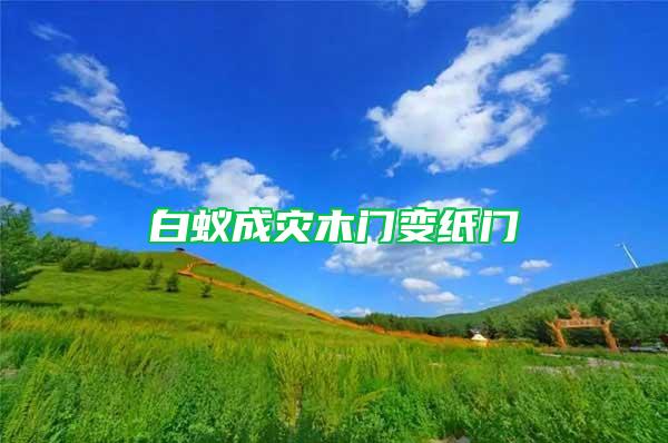 白蟻成災(zāi)木門變紙門