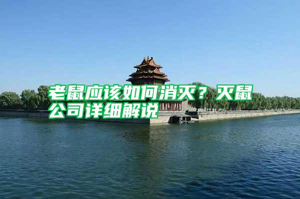 老鼠應(yīng)該如何消滅？滅鼠公司詳細(xì)解說