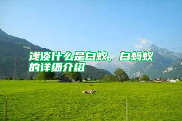 淺談什么是白蟻，白螞蟻的詳細介紹