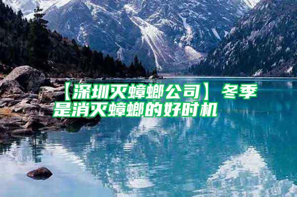 【深圳滅蟑螂公司】冬季是消滅蟑螂的好時機