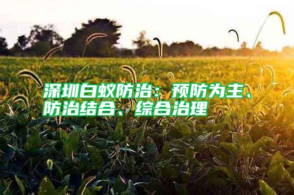 深圳白蟻防治：預防為主、防治結合、綜合治理