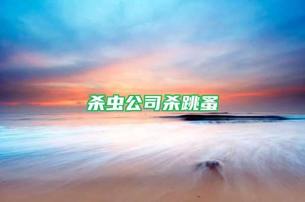 殺蟲(chóng)公司殺跳蚤