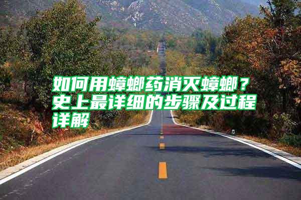 如何用蟑螂藥消滅蟑螂？史上最詳細(xì)的步驟及過程詳解