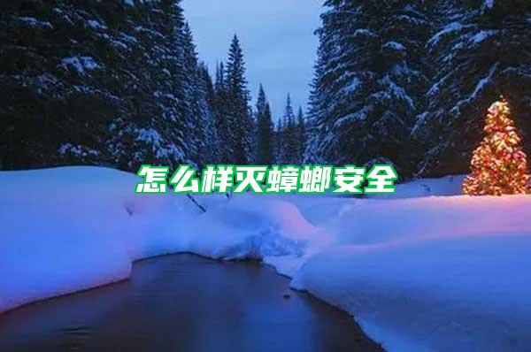 怎么樣滅蟑螂安全