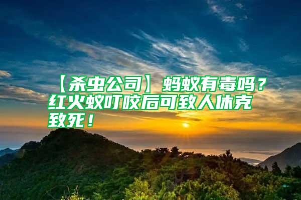 【殺蟲公司】螞蟻有毒嗎？紅火蟻叮咬后可致人休克致死！