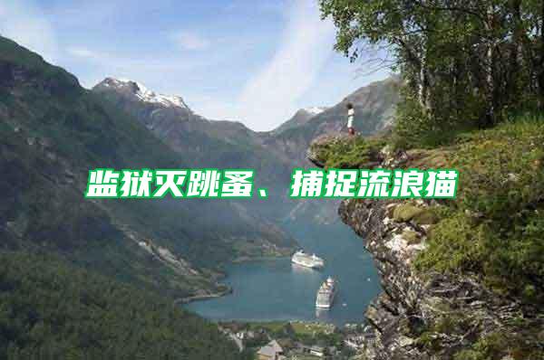 監獄滅跳蚤、捕捉流浪貓