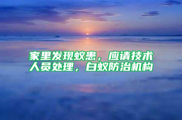 家里發現蟻患，應請技術人員處理，白蟻防治機構