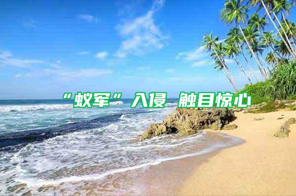 “蟻軍”入侵 觸目驚心