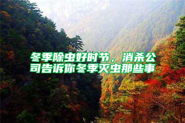 冬季除蟲好時節(jié)，消殺公司告訴你冬季滅蟲那些事
