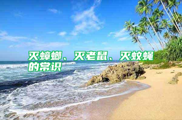 滅蟑螂、滅老鼠、滅蚊蠅的常識