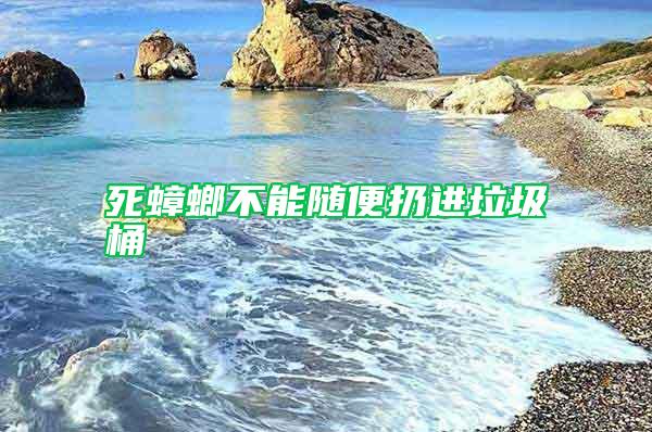 死蟑螂不能隨便扔進垃圾桶