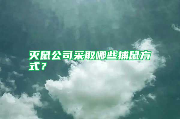 滅鼠公司采取哪些捕鼠方式？