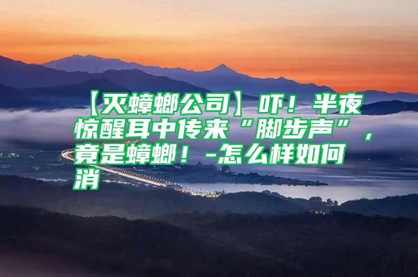 【滅蟑螂公司】嚇！半夜驚醒耳中傳來(lái)“腳步聲”，竟是蟑螂！-怎么樣如何消