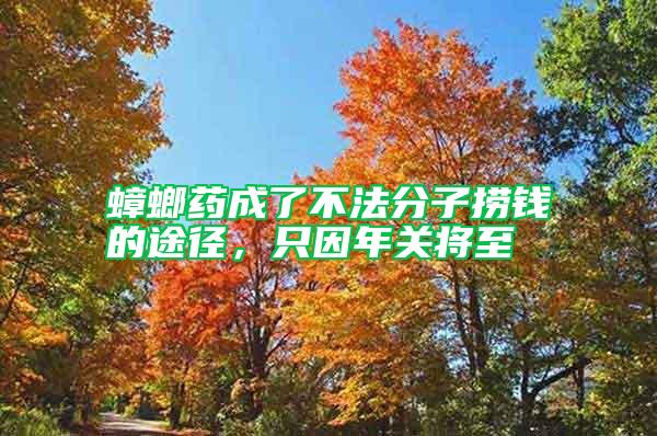 蟑螂藥成了不法分子撈錢的途徑，只因年關(guān)將至