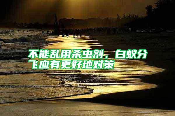 不能亂用殺蟲劑，白蟻分飛應有更好地對策