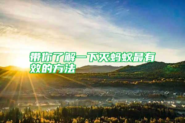 帶你了解一下滅螞蟻?zhàn)钣行У姆椒?/></p>
             <p style=