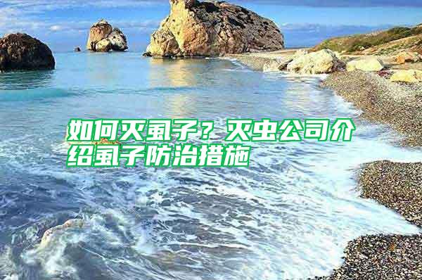 如何滅虱子？滅蟲公司介紹虱子防治措施
