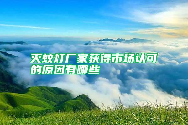 滅蚊燈廠家獲得市場認可的原因有哪些