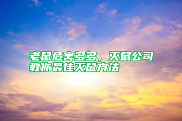 老鼠危害多多，滅鼠公司教你最佳滅鼠方法