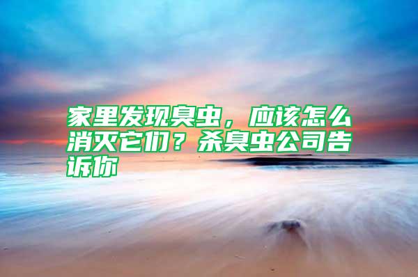 家里發現臭蟲，應該怎么消滅它們？殺臭蟲公司告訴你