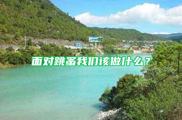 面對跳蚤我們該做什么？