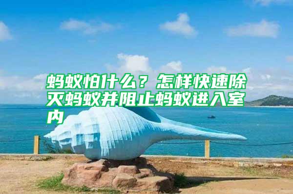 螞蟻怕什么？怎樣快速除滅螞蟻并阻止螞蟻進入室內