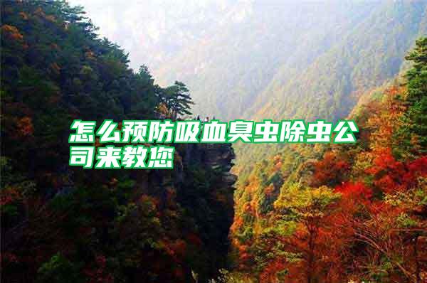 怎么預防吸血臭蟲除蟲公司來教您
