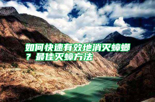 如何快速有效地消滅蟑螂？最佳滅蟑方法