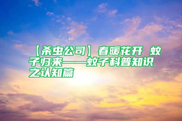 【殺蟲公司】春暖花開 蚊子歸來——蚊子科普知識之認知篇