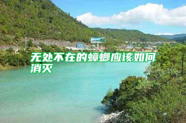 無處不在的蟑螂應(yīng)該如何消滅