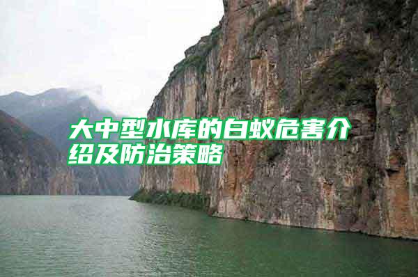 大中型水庫(kù)的白蟻危害介紹及防治策略