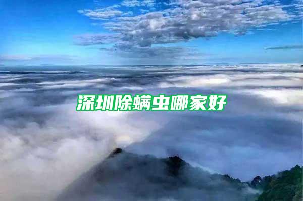 深圳除螨蟲哪家好