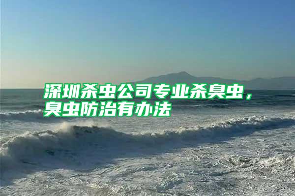 深圳殺蟲公司專業(yè)殺臭蟲，臭蟲防治有辦法