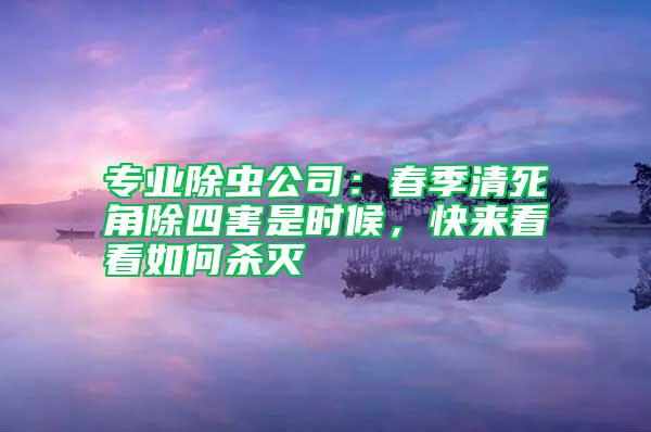 專業(yè)除蟲公司：春季清死角除四害是時(shí)候，快來看看如何殺滅