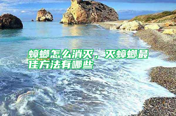 蟑螂怎么消滅，滅蟑螂最佳方法有哪些