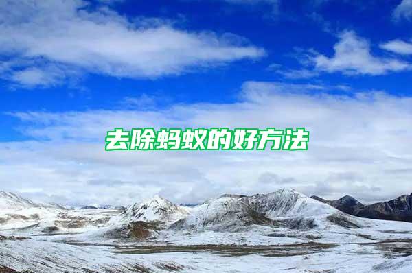 去除螞蟻的好方法