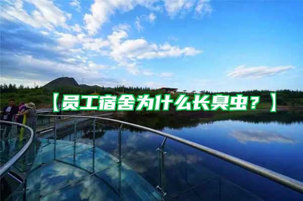 【員工宿舍為什么長臭蟲？】