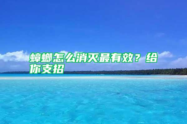 蟑螂怎么消滅最有效？給你支招