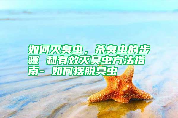 如何滅臭蟲，殺臭蟲的步驟 和有效滅臭蟲方法指南- 如何擺脫臭蟲