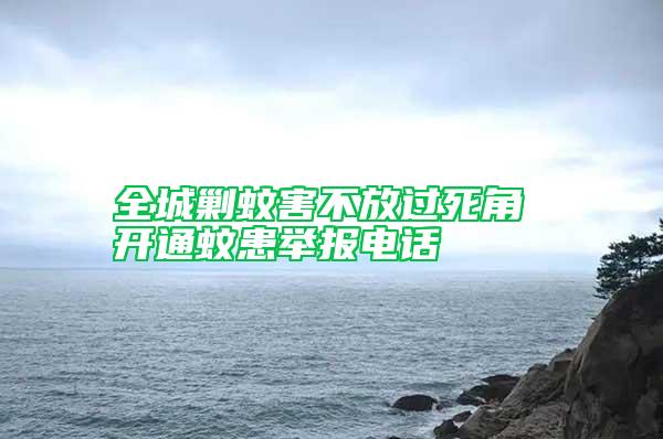 全城剿蚊害不放過死角 開通蚊患舉報電話