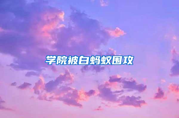學院被白螞蟻圍攻