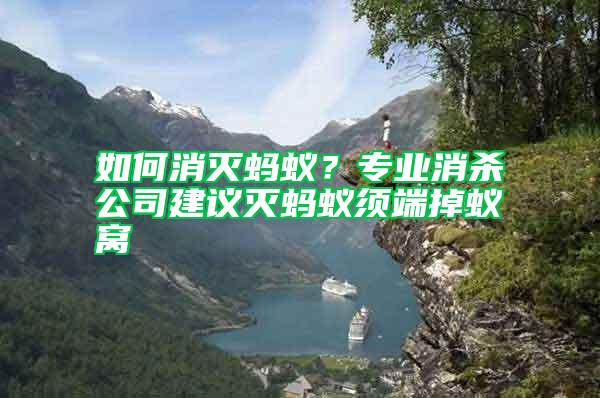 如何消滅螞蟻？專業消殺公司建議滅螞蟻須端掉蟻窩