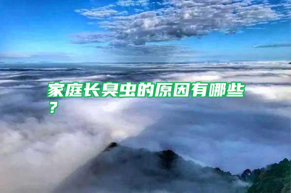 家庭長臭蟲的原因有哪些？