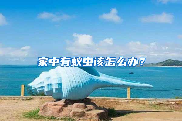 家中有蟻蟲該怎么辦？